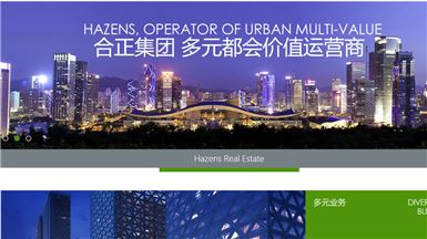 深圳市合正房地产集团有限公司